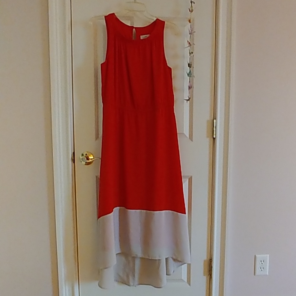 Loft summer dress